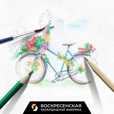 Графика цветными карандашами «Цветочный велосипед»